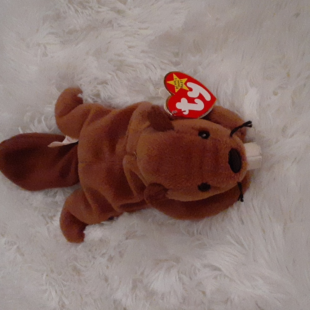 Ty Beanie Baby Bucky Collectible